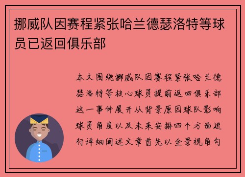 挪威队因赛程紧张哈兰德瑟洛特等球员已返回俱乐部 挪威队因赛程紧张哈兰德瑟洛特等球员已返回俱乐部